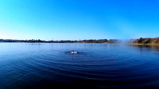 Ловит рыбу руками смотреть онлайн