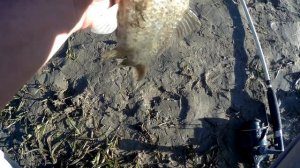 РЫБАЛКА НА КАРАСЯ!!ХОЛОДНЫЙ КАНАЛ!!1 ЧАСТЬ