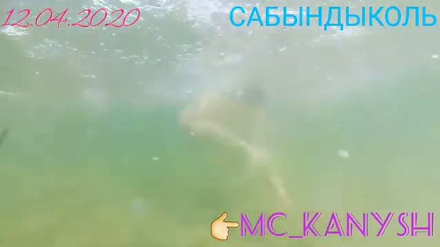 САБЫНДЫКОЛЬ открыли купальный сезон 12 апреля 2020 года смотреть онлайн