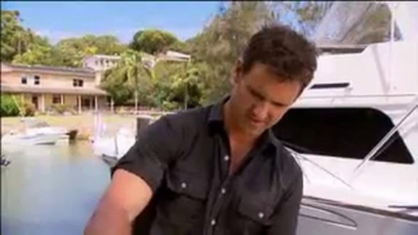 The Garden Gurus - Potted Inspirations