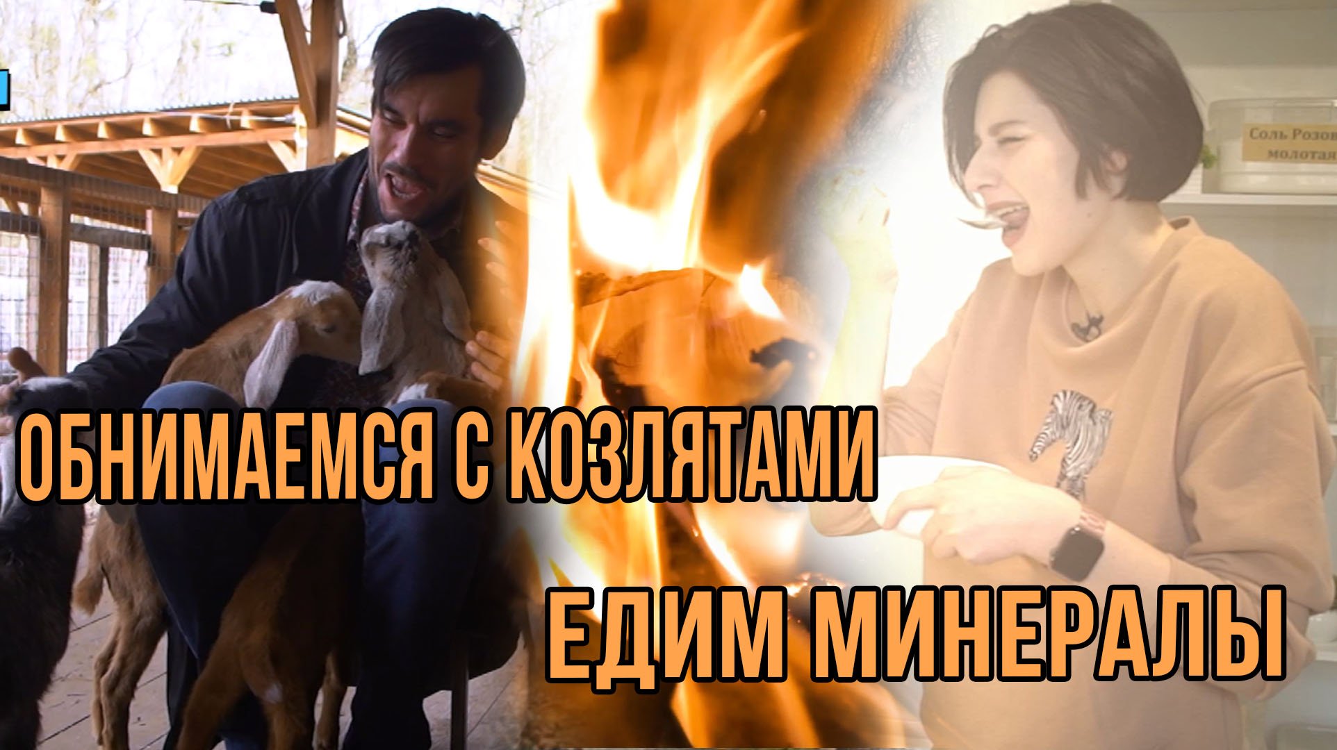 Посмотрели, как делают косметику и вино, погуляли по горам и фермам Северского района