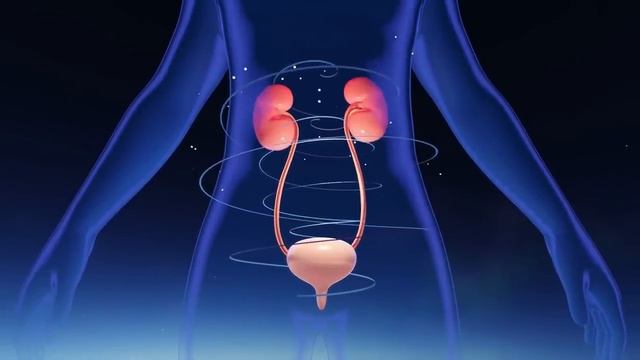 Очень редкая Матрица Гаряева для Очищения Почек ☀️ Квантовое исцеление звуком смотреть онлайн