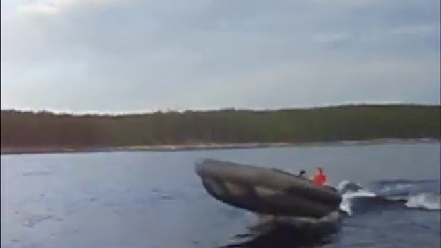 Лодка СНЛ-8 с мотором Тохатсу 25 ; смотреть онлайн