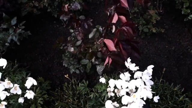 Строительная Зона