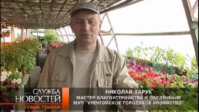 Обрезка ив смотреть онлайн