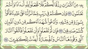 Сура "Аль-Бакара".  Аяты 21-24.