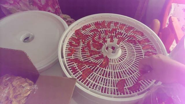 Переход на сыроедение | Заготовка продуктов на зиму