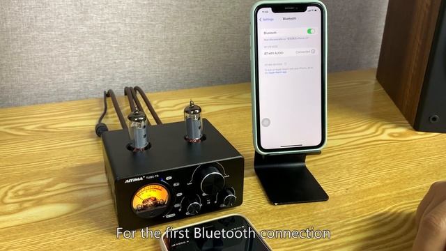 AIYIMA T9 Amplfifier