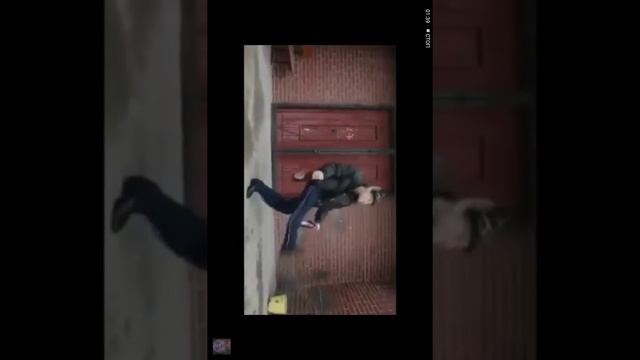 Три палоски три ката смотреть онлайн