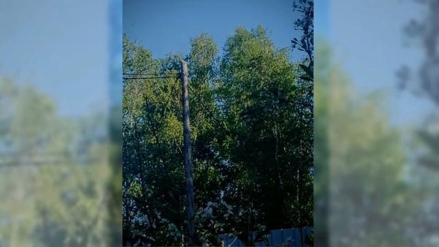 DK - лицемер (speed up). смотреть онлайн