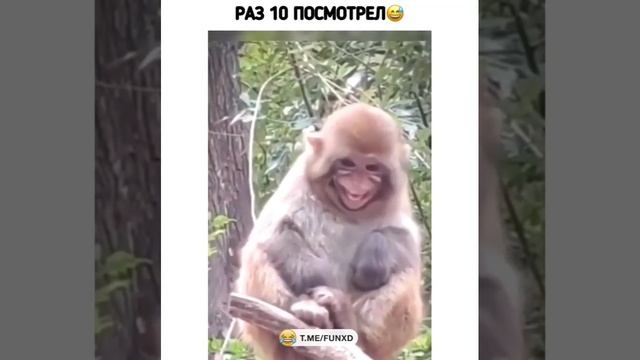плевок.mp4 смотреть онлайн