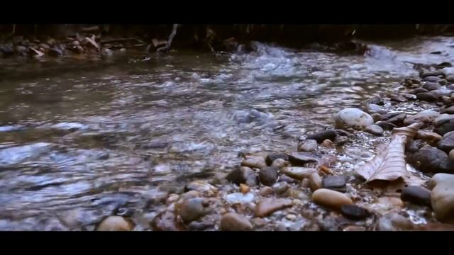 PARADISE | CINEMATIC VIDEO | Sony Alpha 6000 смотреть онлайн