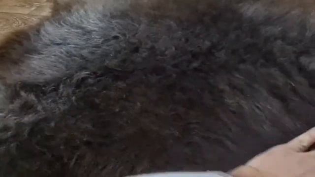 ОВЕЧЬЯ ШКУРА БУРО-ПЕПЕЛЬНАЯ (КОД: 4287)