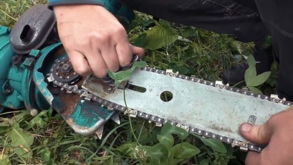 Старая советская бензопила Дружба против немецкой SHTIL 180