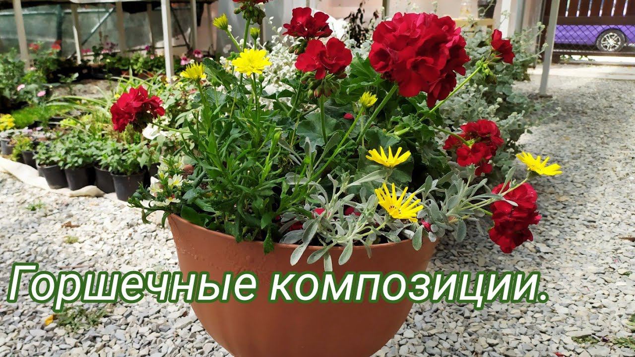 Композиции в кашпо, корзинах и напольных вазонах. смотреть онлайн