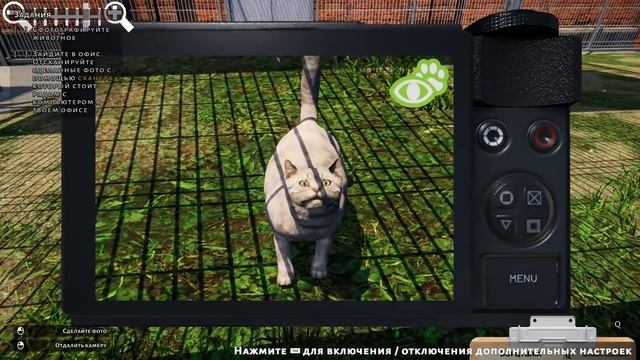 СПАСАЕМ КОТИКОВ - СОЗДАЛИ ПРИЮТ ♦ Animal Shelter смотреть онлайн