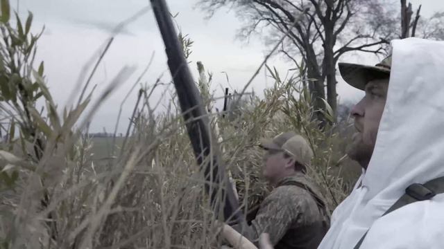 Snow Goose Hunting- Giant Feed Comes in to The Decoys смотреть онлайн