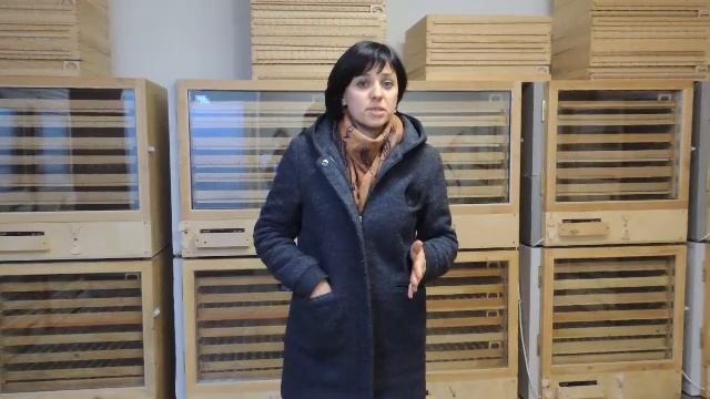 Отзыв покупателя инкубатора Иф 672. Инкубатор Краснодарский край смотреть онлайн