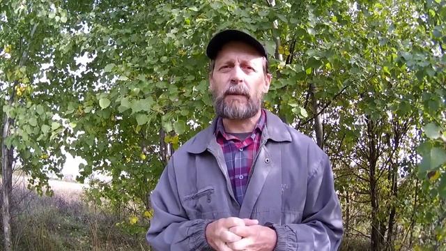 Про живое фото - Longest Photo