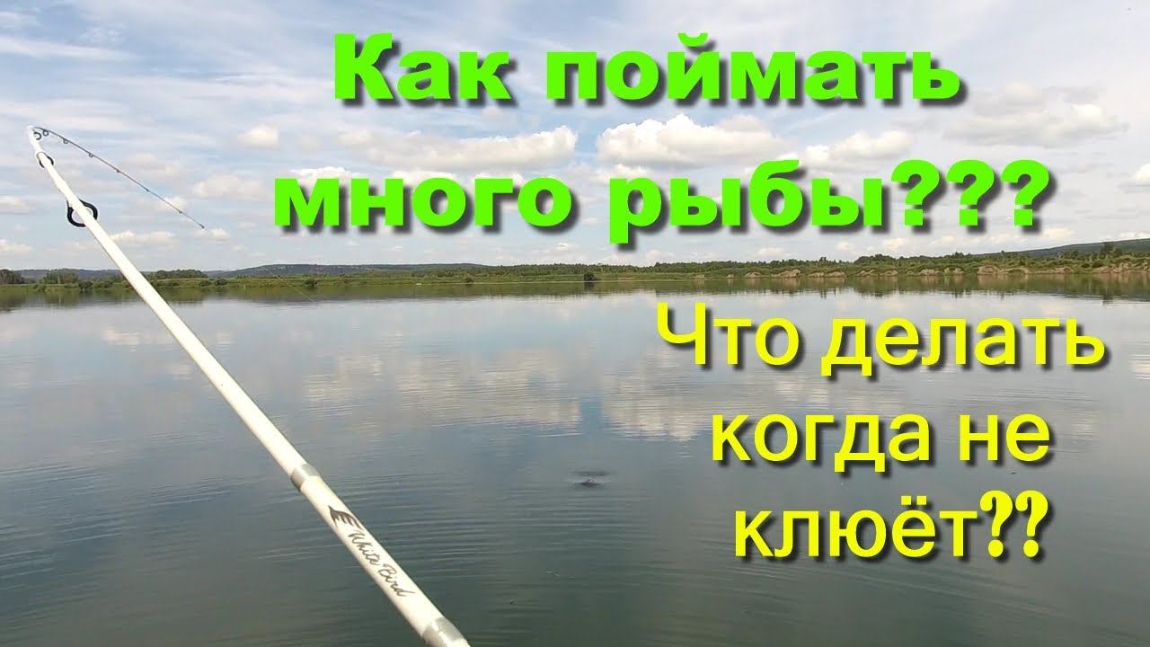 Как поймать много рыбы??? Что делать когда не клюёт???