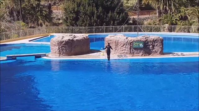 Gran Canaria  Palmitos Park