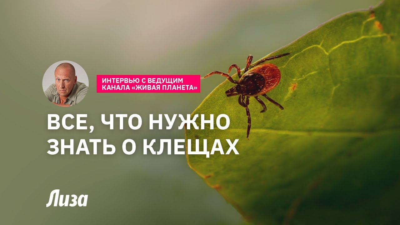 Всё, что нужно знать о клещах смотреть онлайн