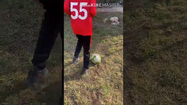 Домашняя работа ⚽️⚽️⚽️ смотреть онлайн