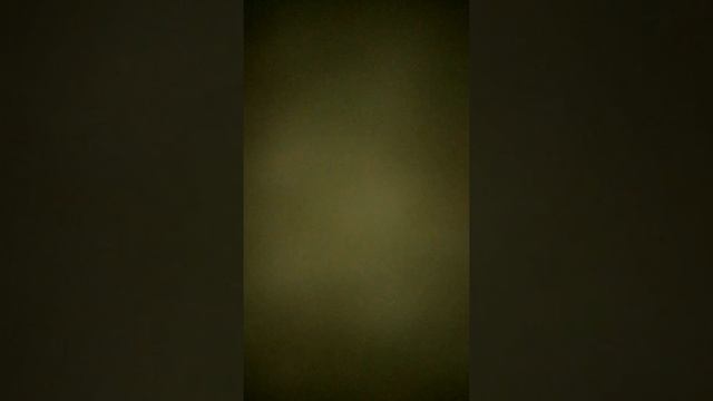 Обстановка в общей палате больницы. Не удивляйтесь. В такой палате все под контролем. Пристальным.