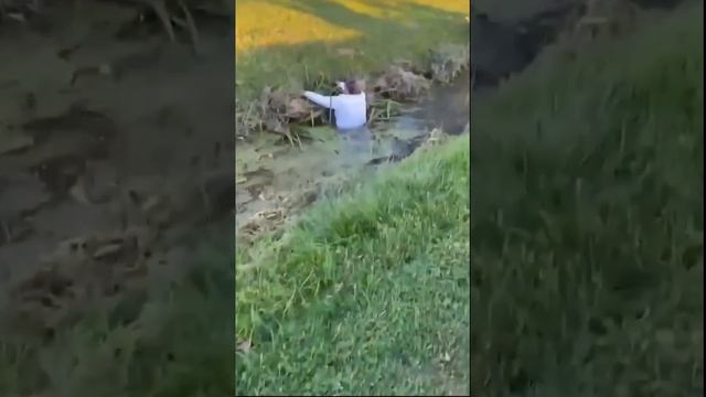 НЕУДАЧИ смотреть онлайн