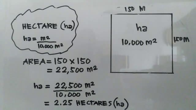 How to Calculate Land Area Square Meter to Hectare смотреть онлайн