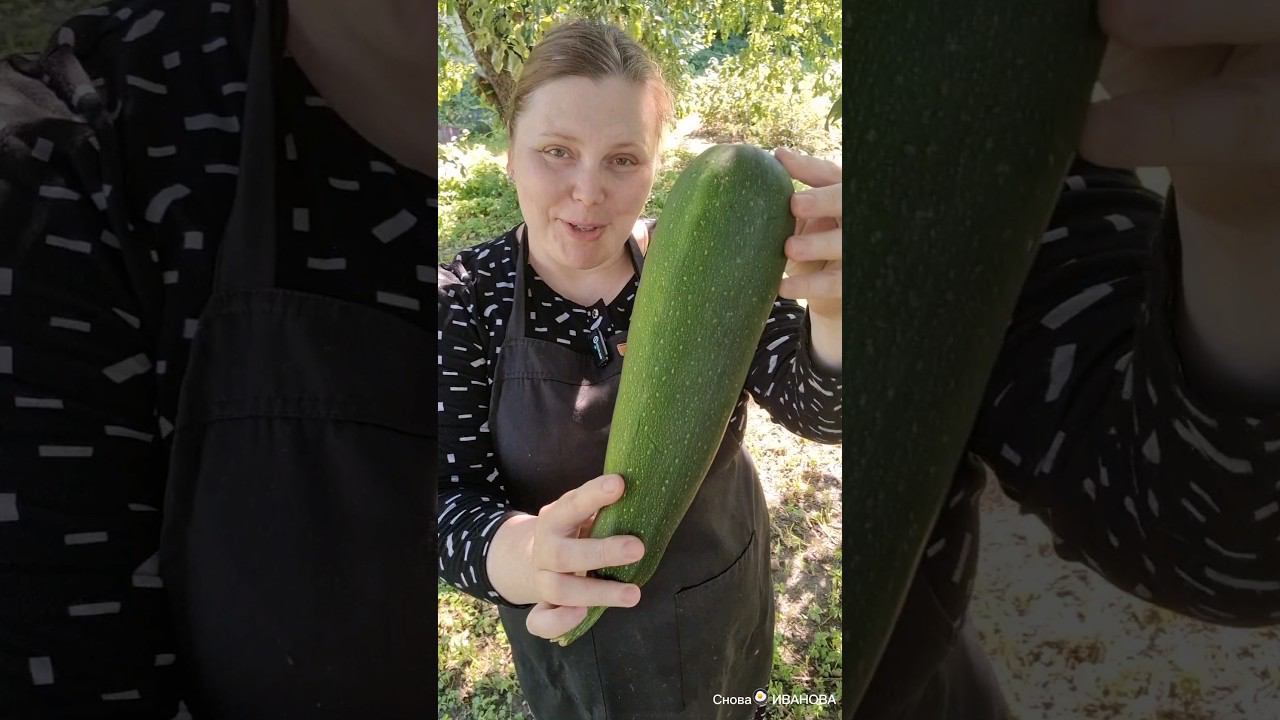 Постные #кабачкирецепты #готовимдома #еда #чтоприготовить #кабачок