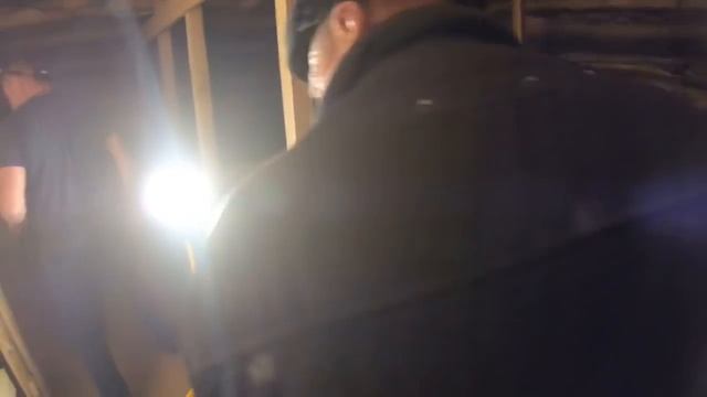 Деревня/Друзья/Обзор стайки/Выходные смотреть онлайн