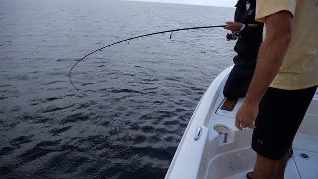 Crystal River SNOOK and REDFISH - Livin' the Dream смотреть онлайн