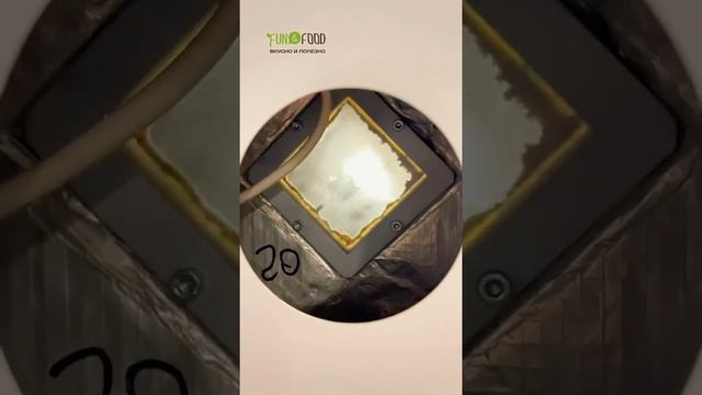 Домашний шеф-повар для начинающих