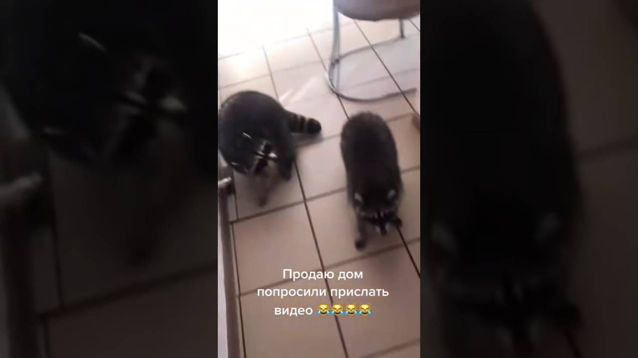 Лёня! смотреть онлайн