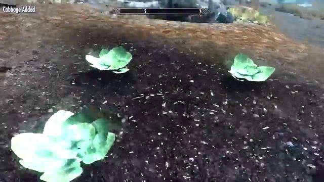 Pelagia Farm & Cabbages - Skyrim смотреть онлайн