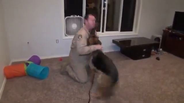 Собачья радость бьет фонтаном