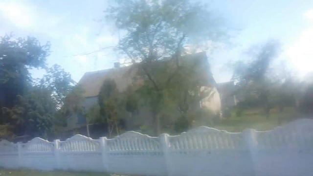 Еду в беловежскую пущу.😄😄😄😄😄😄 смотреть онлайн