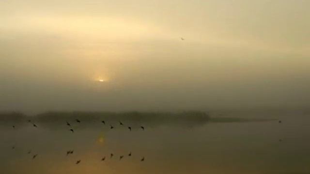 Александр Розенбаум - Утиная охота смотреть онлайн