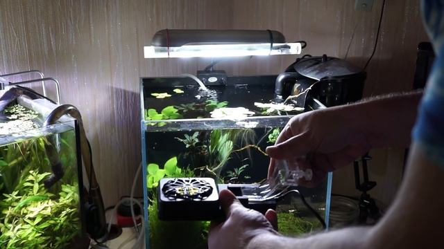 Охлаждение воды в аквариуме с Алиэкспресс. Обзор смотреть онлайн