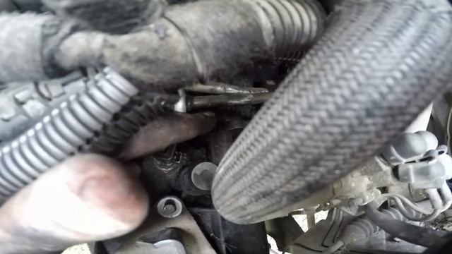 Что делать,когда PEUGEOT 206 ЗАГЛОХ, ПРОЛЕМЫ С ЭЛЕКТРОНИКОЙ