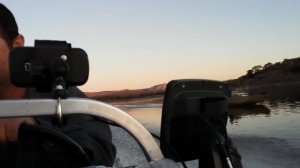 Mercury 115 v Yamaha 115