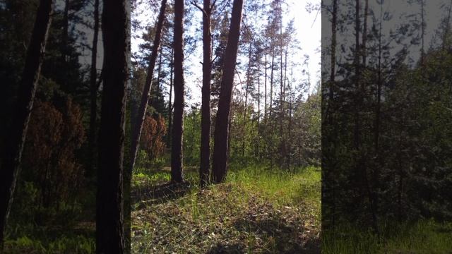 утро ? смотреть онлайн