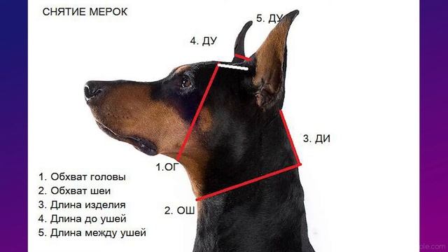 Вяжем шапочку для собачки/Первый урок смотреть онлайн
