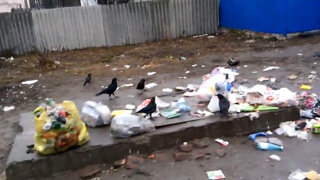 Чистая Жуковка Калинина Чайковского смотреть онлайн