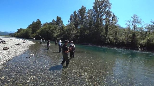 Рыбалка на Лосося в Британской Колумбии. Red Spring Salmon fishing on Vedder river, Chilliwack . смотреть онлайн