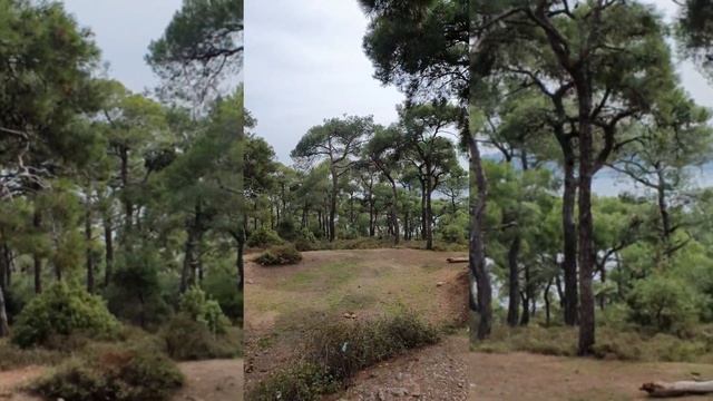 Принцевы острова. 15.10.2021 смотреть онлайн