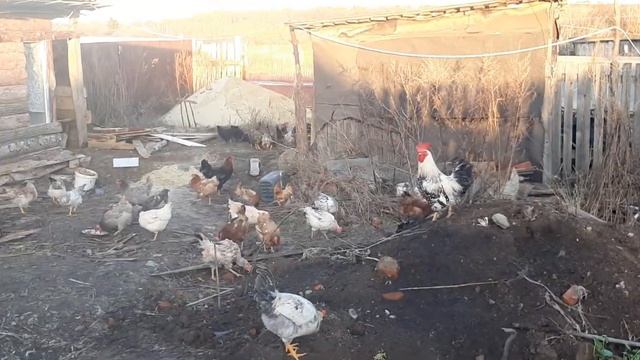 канализация смотреть онлайн