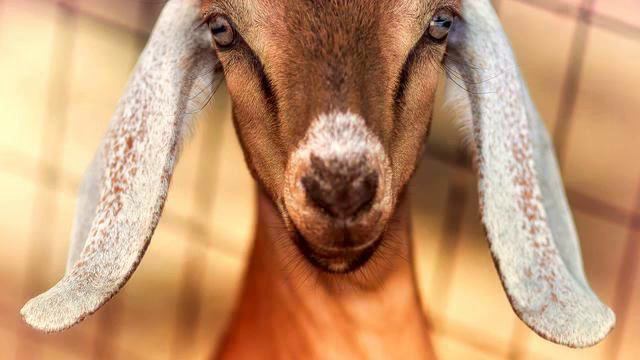 Лучшая музыка 2014. Хит сезона! Душа полетела! смотреть онлайн