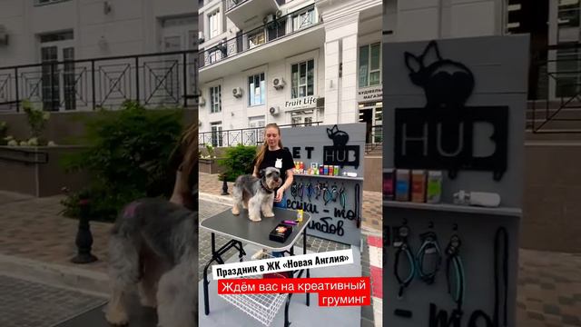 PET HUB grooming (Груминг) на празднике ЖК смотреть онлайн